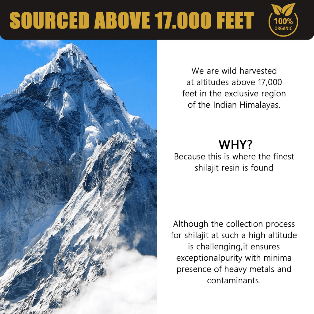 30g Natural Pure Shilajit Resin - Cozy & Co. Market