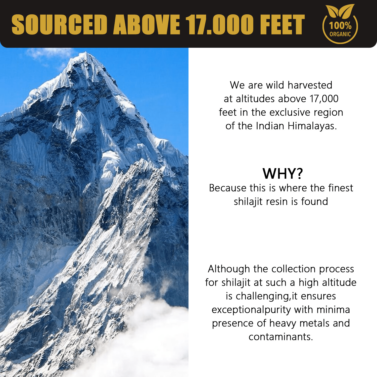 30g Natural Pure Shilajit Resin - Cozy & Co. Market