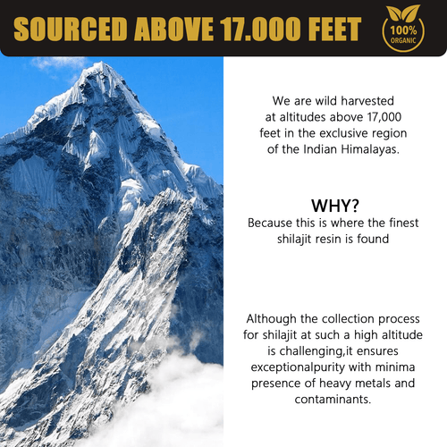 30g Natural Pure Shilajit Resin - Cozy & Co. Market