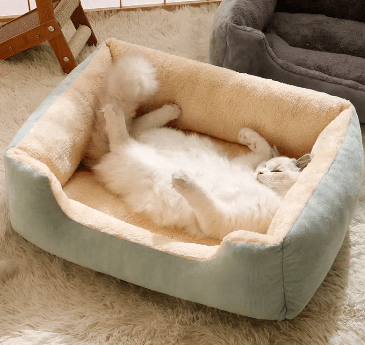 All-in-One Cat and Dog Bed - Cozy & Co. Market