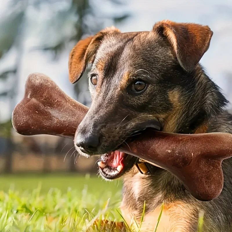 Beef Flavored Bone Dog Chew Toy — Interactive Teeth Cleaning - Cozy & Co. Market