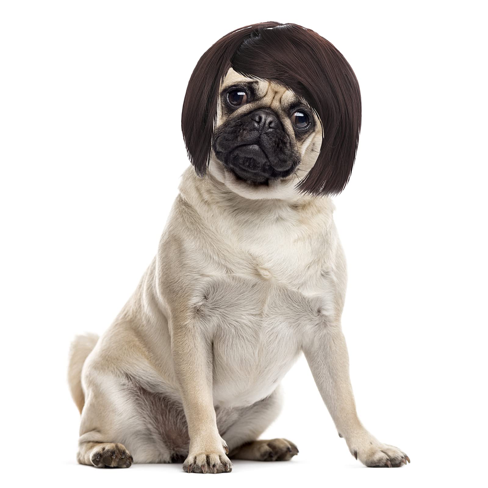Cobee Funny Dog Cat Cosplay Wig Pet Wig-Adjustable Costume Pet Funny Headwear Costumes Headgear for Small Medium Large Dog Cat Wigs Dress Up Decorations for Halloween Christmas Parties Festivals - Cozy & Co. Market