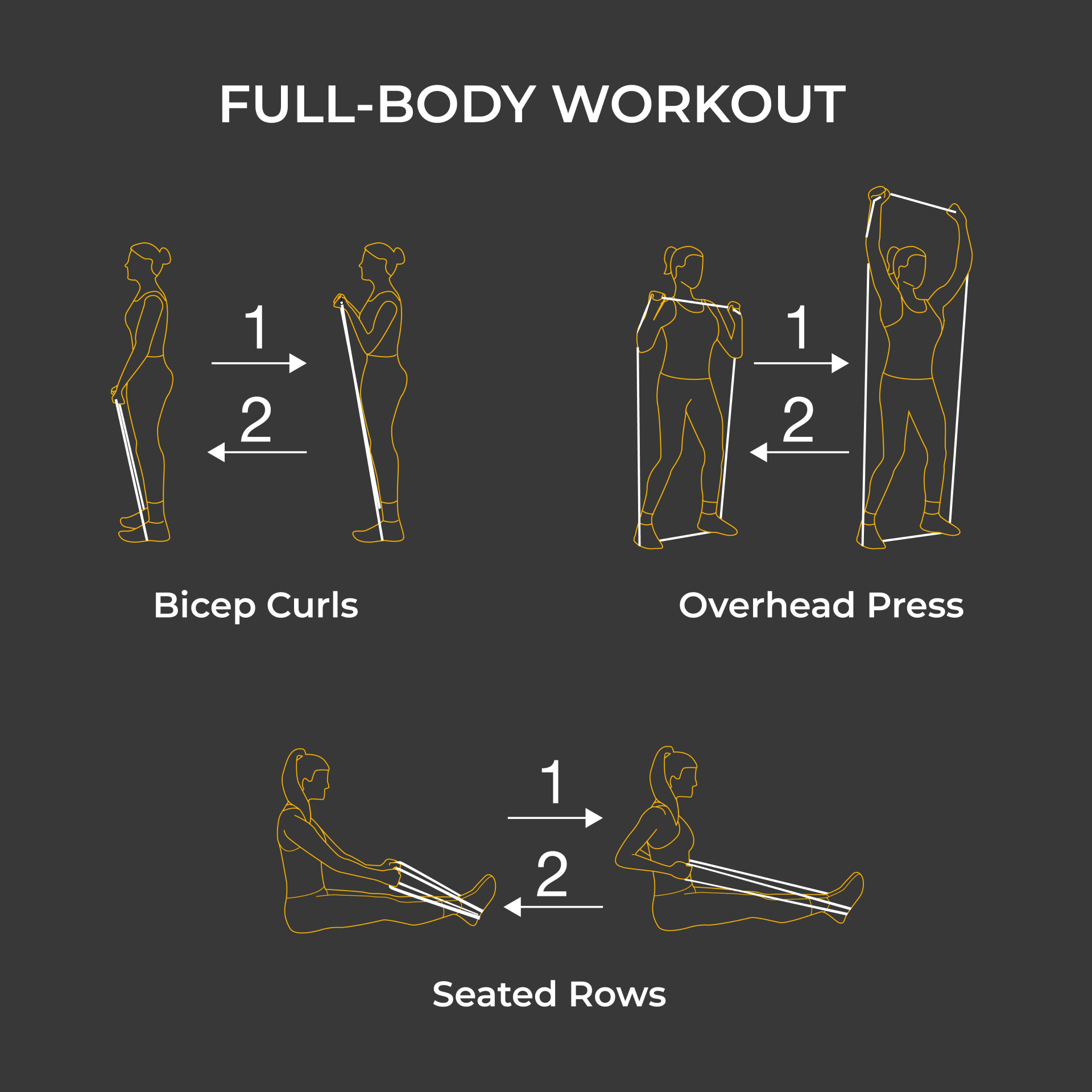Core & Resistance training Bundle - Cozy & Co. Market