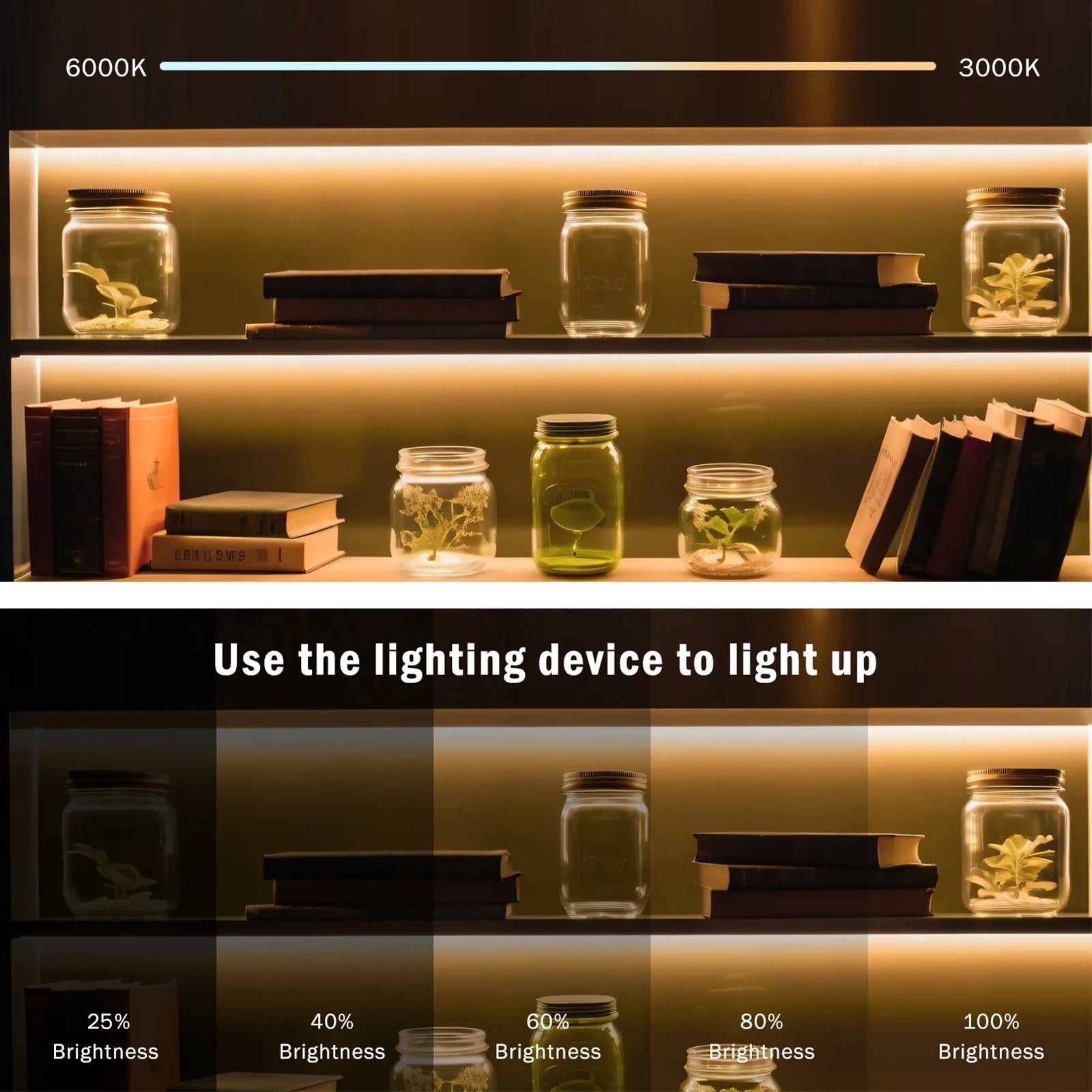Dimmable Switch 220V COB LED Strip Neon Light Dimmer Power Kit Waterproof 3000K 4000K 6000K 288LED Kitchen Room Decor Flex Lamp - Cozy & Co. Market