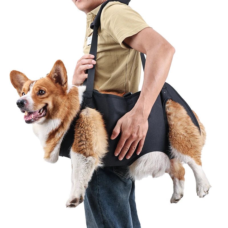 Dog Body Support Harness for Injured & Elderly Dogs - Cozy & Co. Market