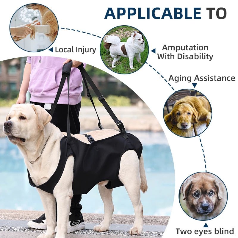 Dog Body Support Harness for Injured & Elderly Dogs - Cozy & Co. Market