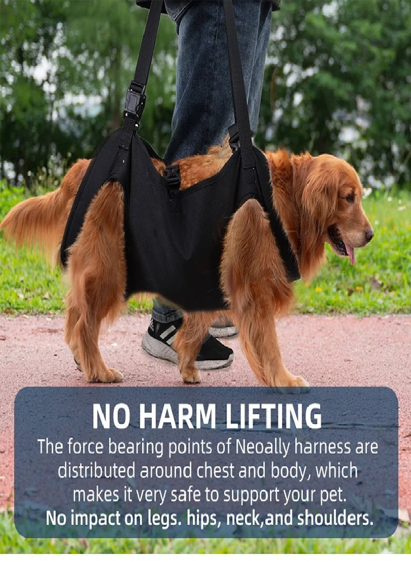Dog Body Support Harness for Injured & Elderly Dogs - Cozy & Co. Market