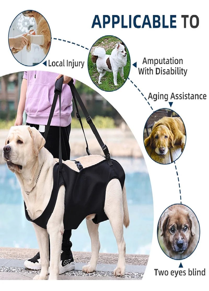 Dog Body Support Harness for Injured & Elderly Dogs - Cozy & Co. Market