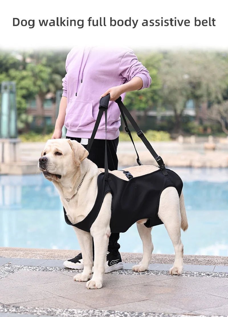 Dog Body Support Harness for Injured & Elderly Dogs - Cozy & Co. Market