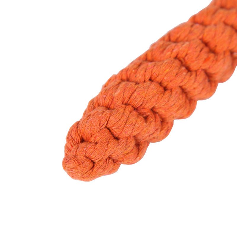 Durable Carrot Shaped Pet Chew Toy - Cozy & Co. Market