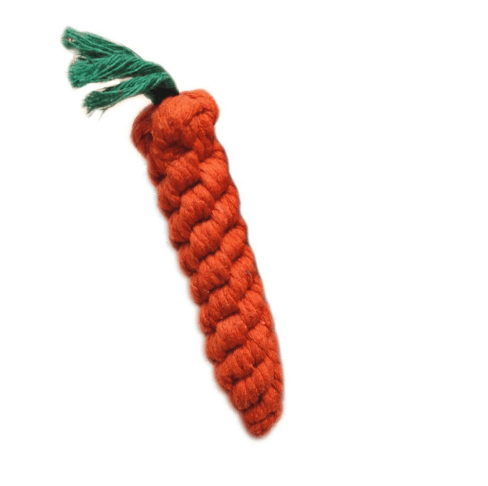Durable Carrot Shaped Pet Chew Toy - Cozy & Co. Market