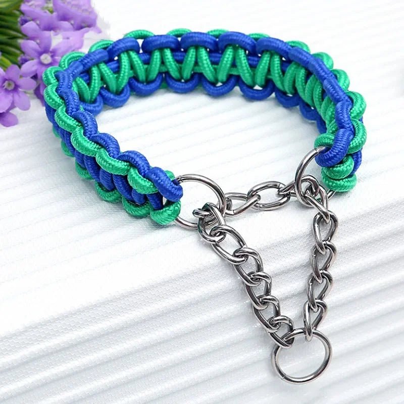 Durable Nylon Dog Collar & Leash for Medium & Large Dogs - Cozy & Co. Market
