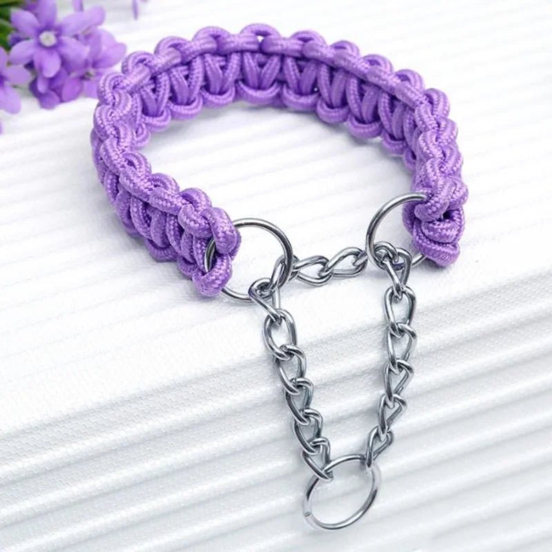 Durable Nylon Dog Collar & Leash for Medium & Large Dogs - Cozy & Co. Market