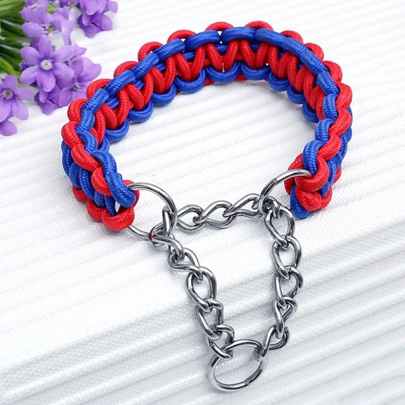 Durable Nylon Dog Collar & Leash for Medium & Large Dogs - Cozy & Co. Market