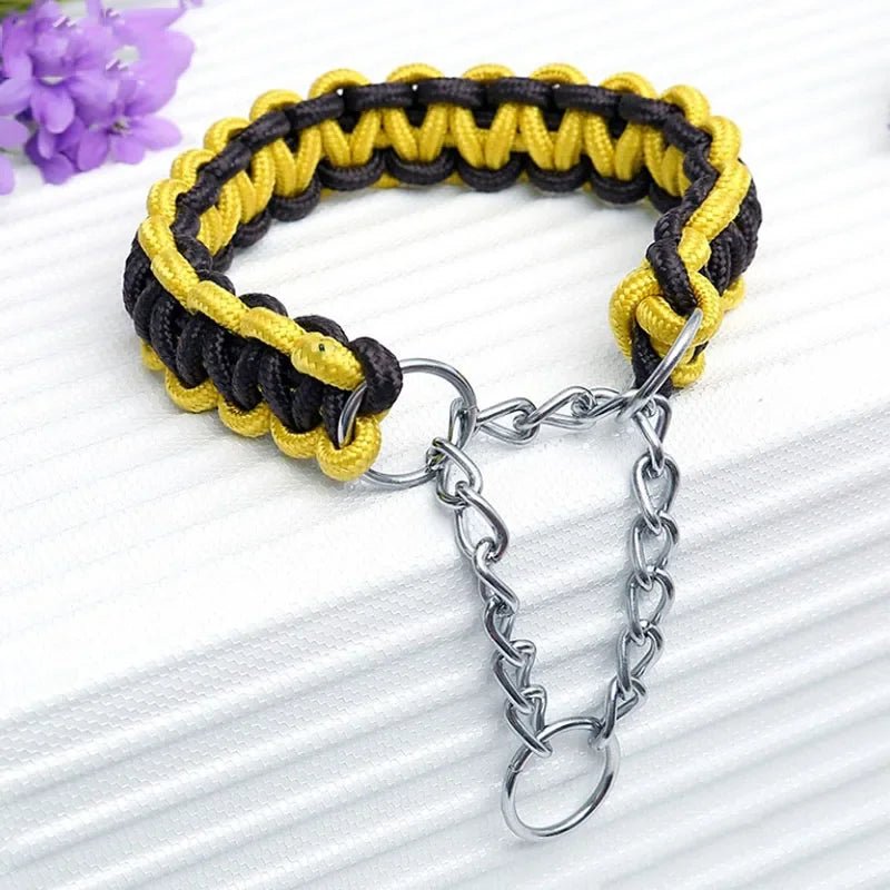 Durable Nylon Dog Collar & Leash for Medium & Large Dogs - Cozy & Co. Market