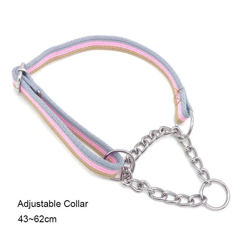 Durable Nylon Dog Collar & Leash for Medium & Large Dogs - Cozy & Co. Market