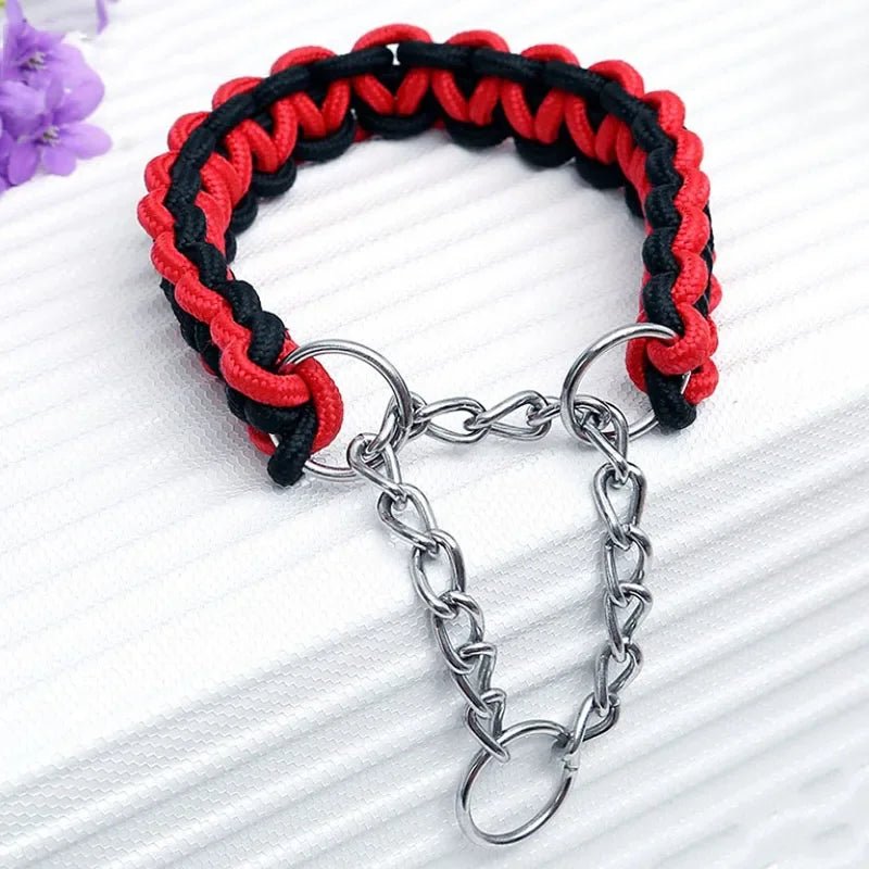 Durable Nylon Dog Collar & Leash for Medium & Large Dogs - Cozy & Co. Market
