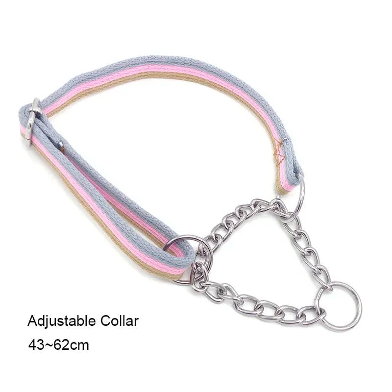 Durable Nylon Dog Collar & Leash for Medium & Large Dogs - Cozy & Co. Market