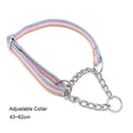 Durable Nylon Dog Collar & Leash for Medium & Large Dogs - Cozy & Co. Market