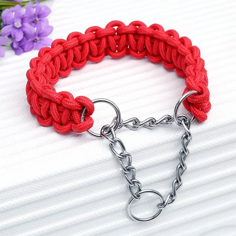 Durable Nylon Dog Collar & Leash for Medium & Large Dogs - Cozy & Co. Market