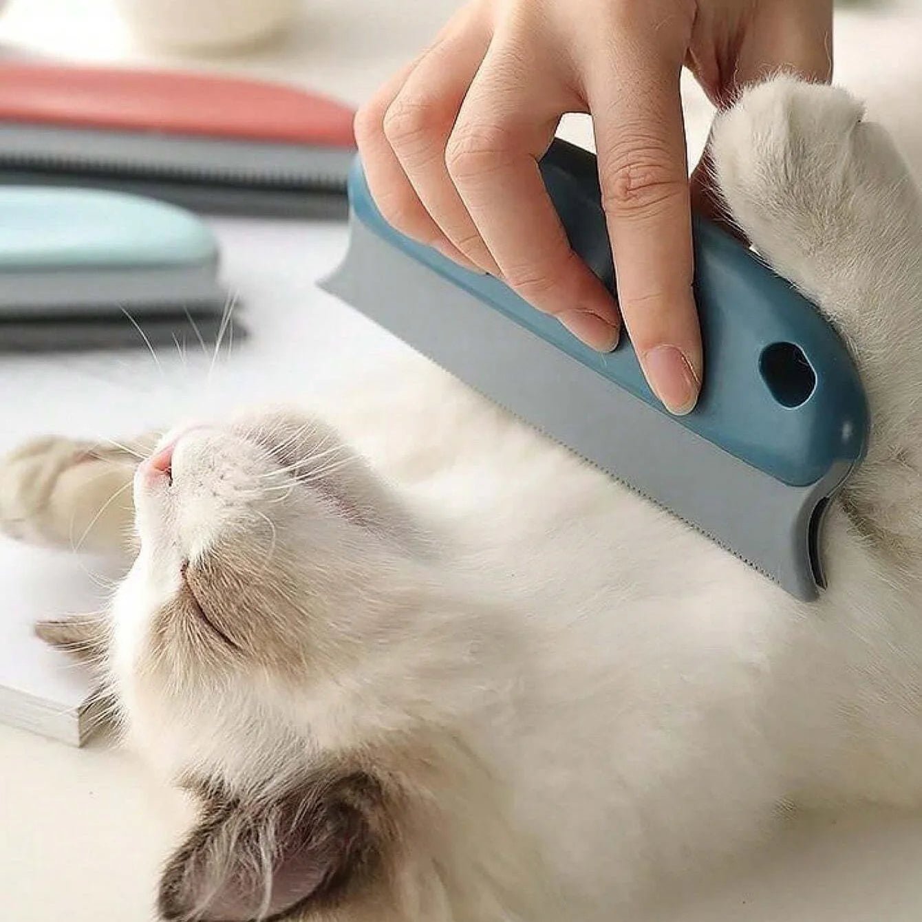 Effective Pet Hair Remover Brush For Cats And Dogs - Gently Shaves Wool And Cleans Fur For A Neat And Tidy Home - Cozy & Co. Market