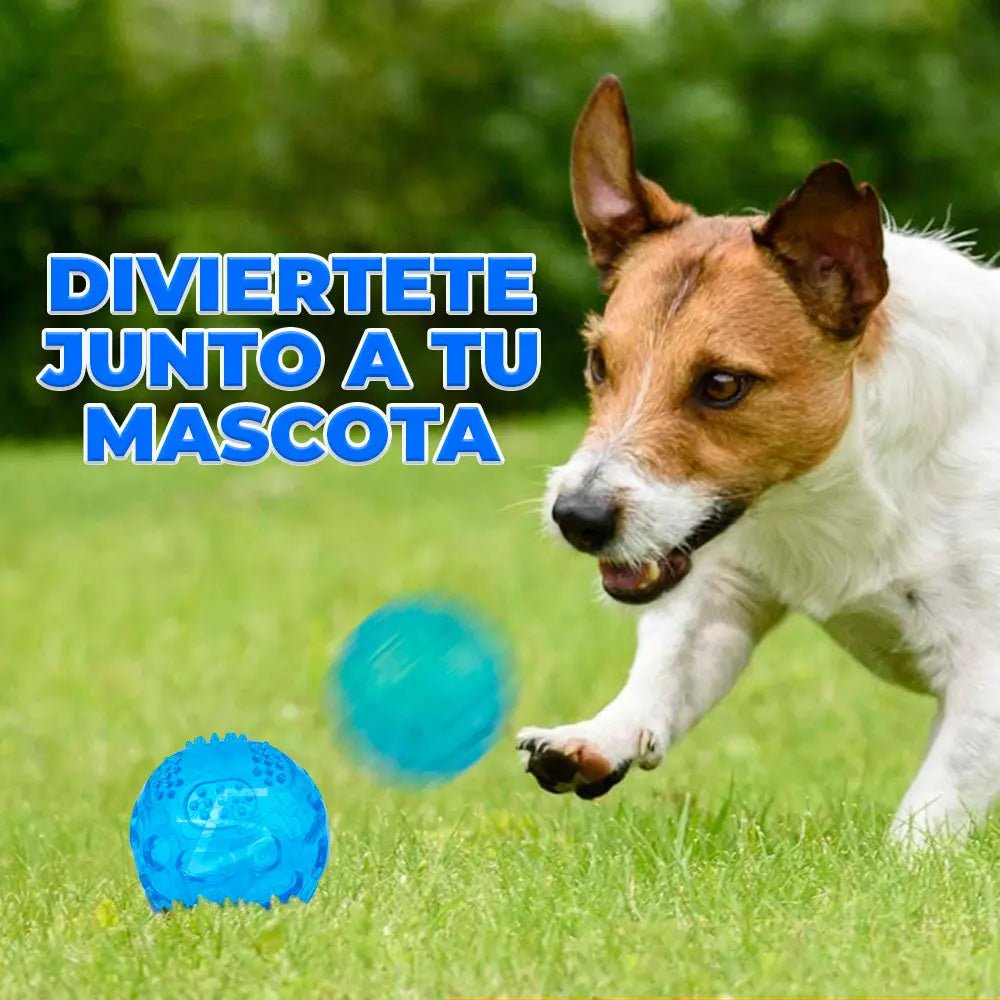 ELEGATE Interactive Dog Cleaning Toy-Chew Teeth Cleaning Design-Model MAS.05.11-Made Mexico-Keyword B2538-For Medium Small Dogs - Cozy & Co. Market