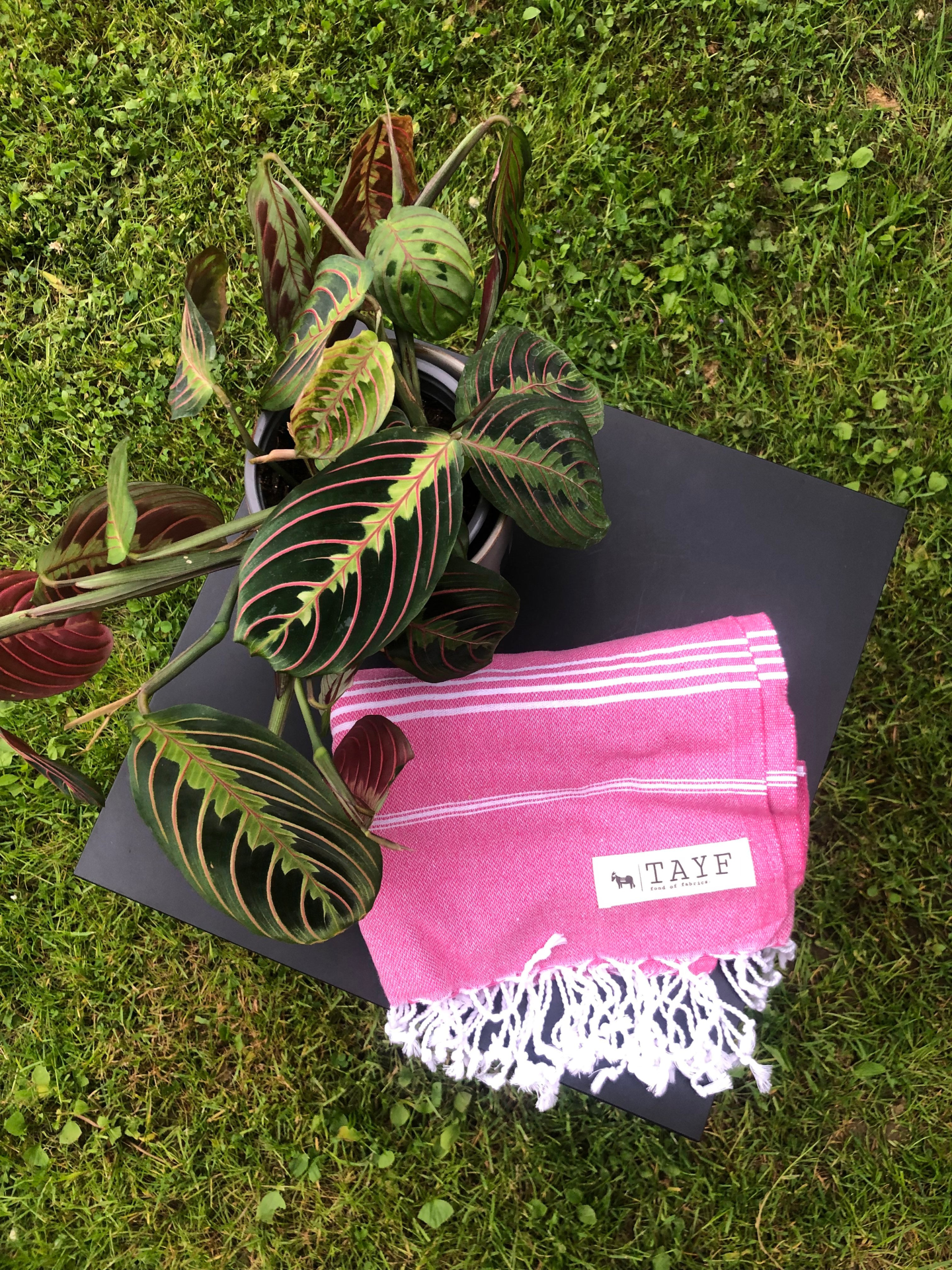 Extra-thin Hammam towel "Kas" - Cozy & Co. Market