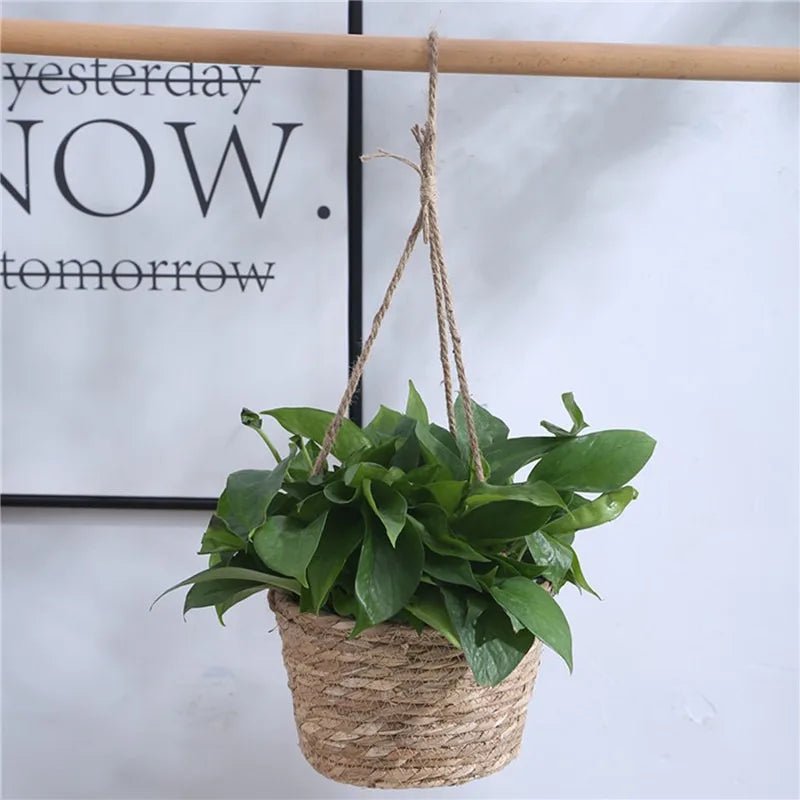 Garden Hanging Planter Macrame Plant Storage Basket Jute Rope Woven Indoor Outdoor Flower Pot Holder Plant Hangers Home Decor - Cozy & Co. Market