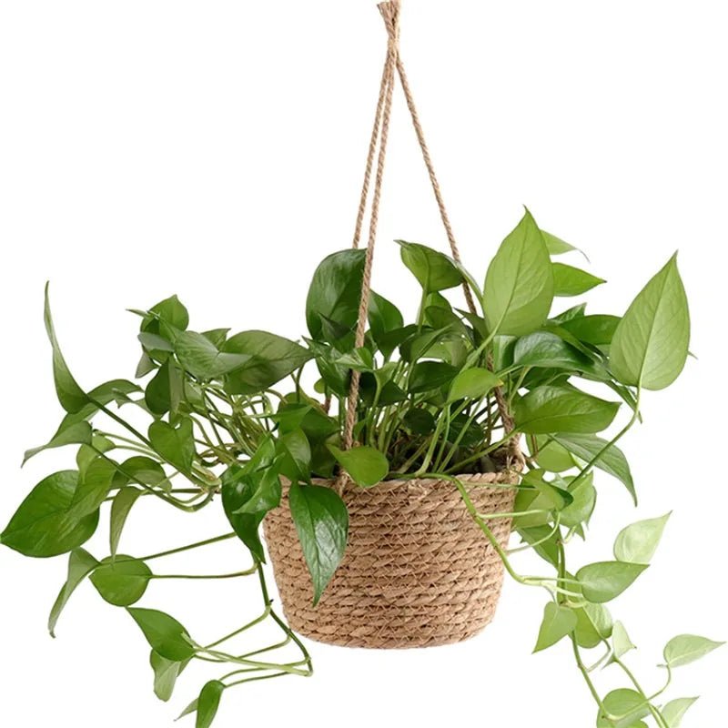 Garden Hanging Planter Macrame Plant Storage Basket Jute Rope Woven Indoor Outdoor Flower Pot Holder Plant Hangers Home Decor - Cozy & Co. Market