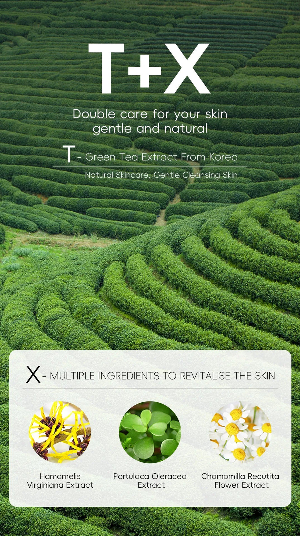 Green Tea Facial Cleanser 50g Skin Deep Cleansing Moisturizing Blackhead Removal Skincare Face Wash Foam Face Cleanser Skin Care - Cozy & Co. Market
