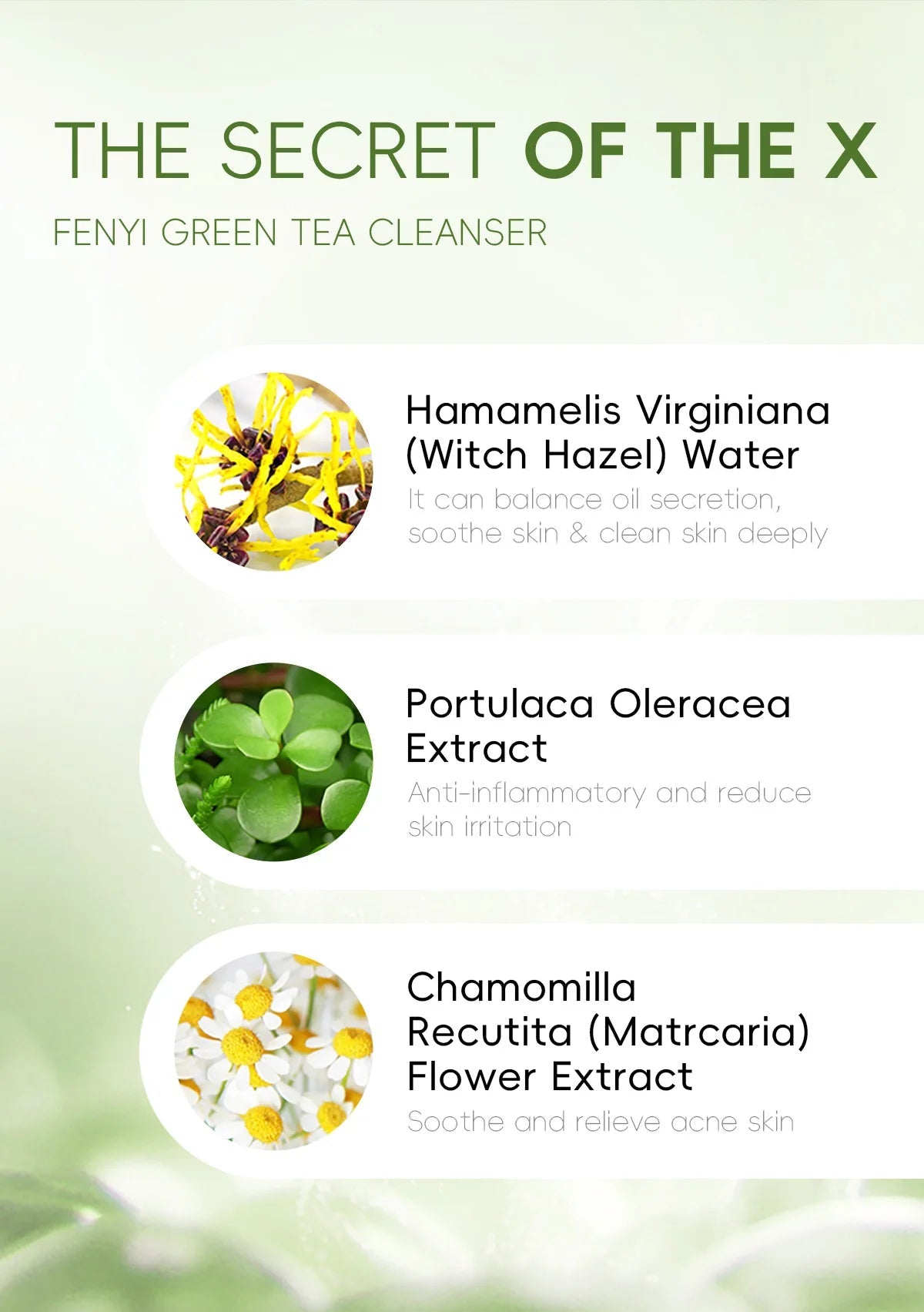 Green Tea Facial Cleanser 50g Skin Deep Cleansing Moisturizing Blackhead Removal Skincare Face Wash Foam Face Cleanser Skin Care - Cozy & Co. Market
