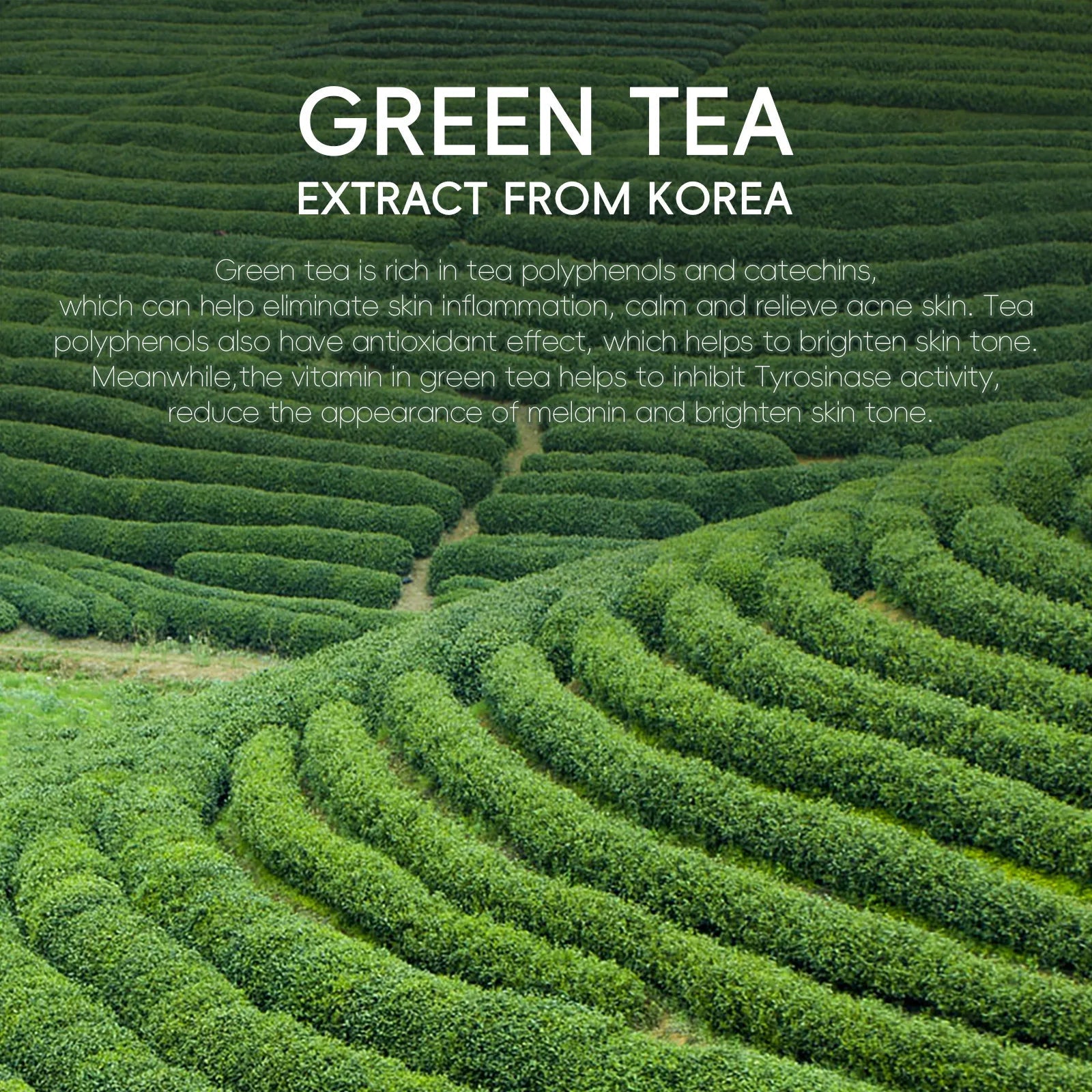 Green Tea Facial Cleanser 50g Skin Deep Cleansing Moisturizing Blackhead Removal Skincare Face Wash Foam Face Cleanser Skin Care - Cozy & Co. Market