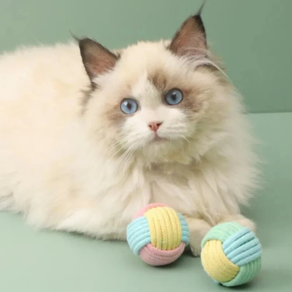 Interactive Cotton Ball Cat Toys — Set of 2 - Cozy & Co. Market