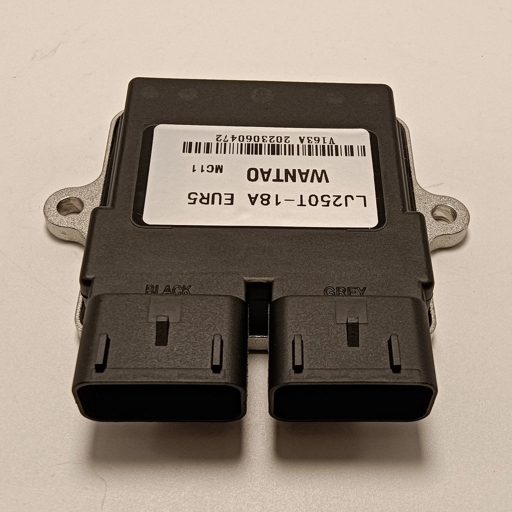 KYY Original Motorcycle ECU Single Cylinder Electronic Control Unit LJ250T-18A EUR5 Motorcycle ECU Unit for Longjia WANTAO - Cozy & Co. Market