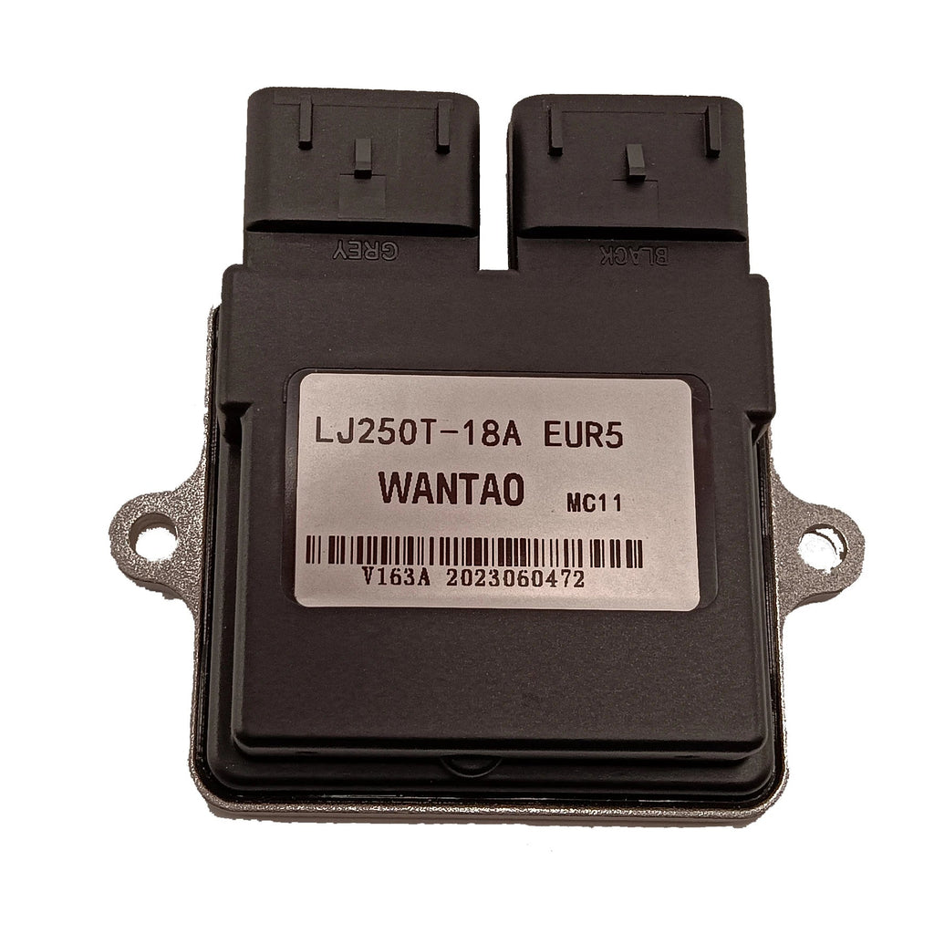 KYY Original Motorcycle ECU Single Cylinder Electronic Control Unit LJ250T-18A EUR5 Motorcycle ECU Unit for Longjia WANTAO - Cozy & Co. Market