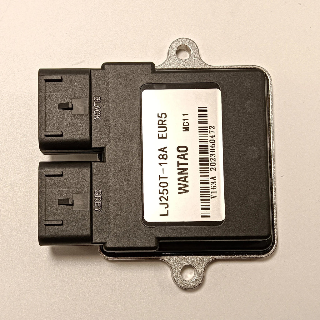 KYY Original Motorcycle ECU Single Cylinder Electronic Control Unit LJ250T-18A EUR5 Motorcycle ECU Unit for Longjia WANTAO - Cozy & Co. Market
