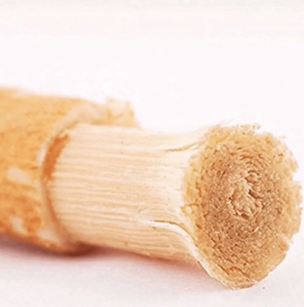 Miswak Tooth Cleaning Stick - Cozy & Co. Market