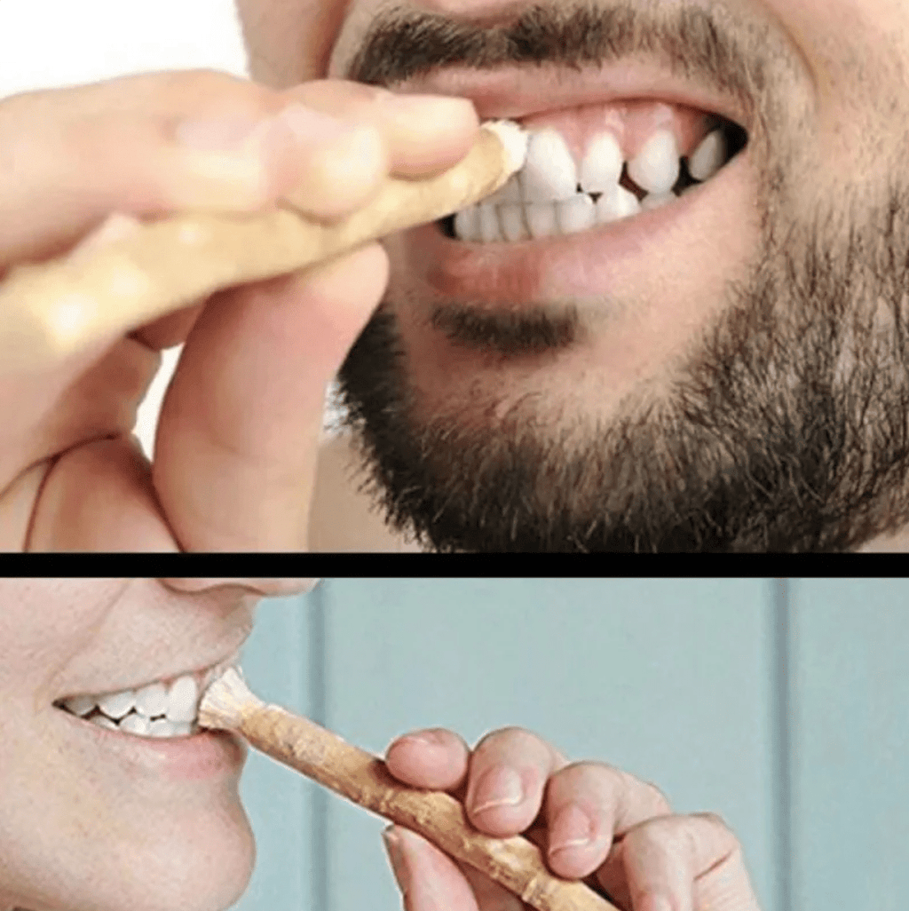Miswak Tooth Cleaning Stick - Cozy & Co. Market