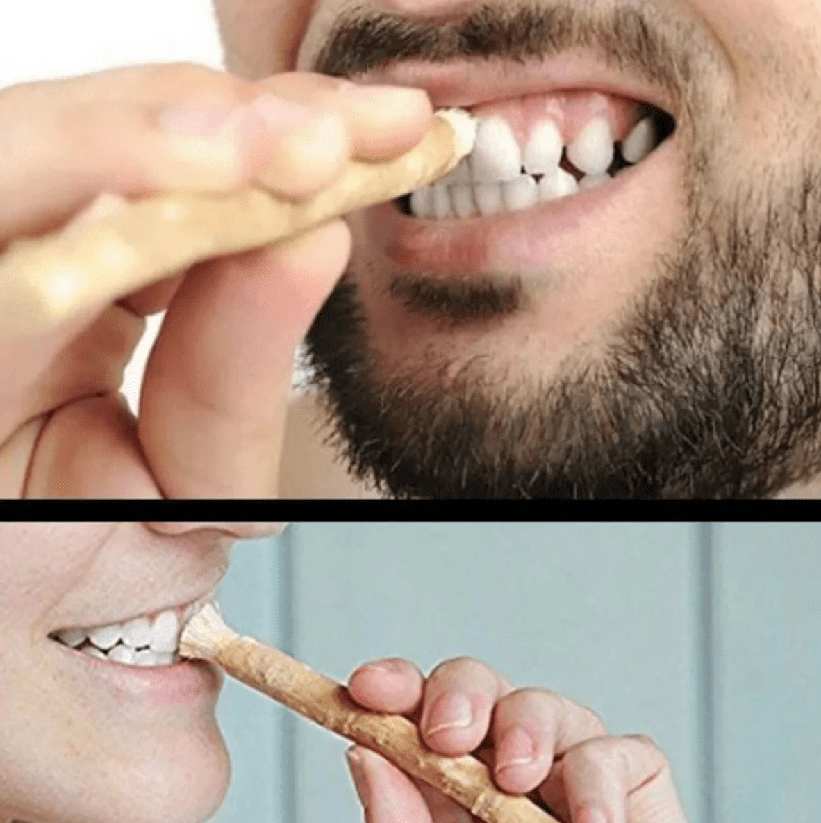 Miswak Tooth Cleaning Stick - Cozy & Co. Market