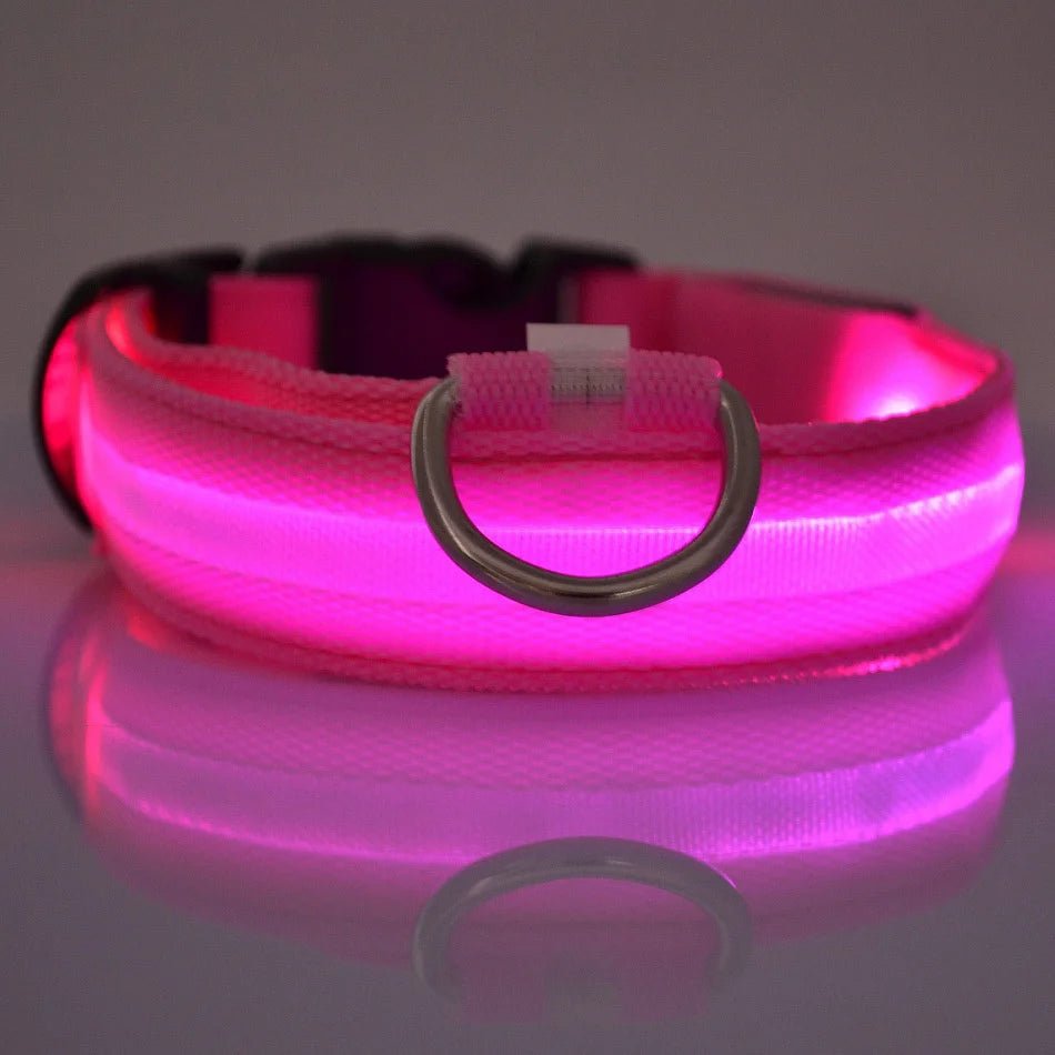 Nylon LED Night Safety Flashing Glow In The Dark Dog Leash Dogs Luminous Fluorescent Pet Dog Collar - Cozy & Co. Market
