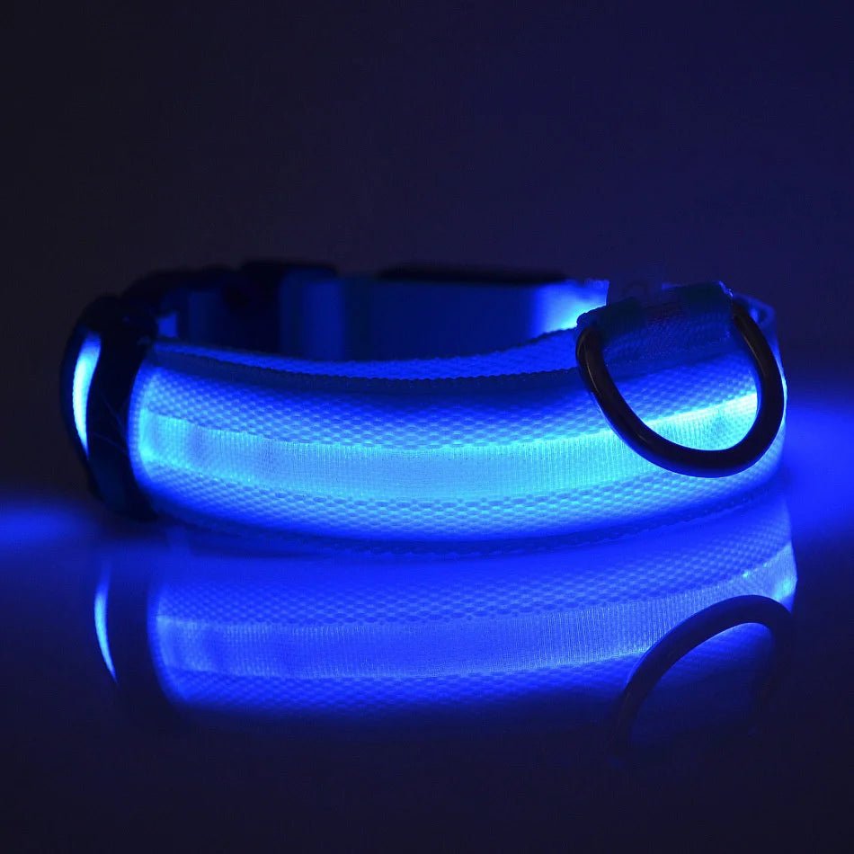 Nylon LED Night Safety Flashing Glow In The Dark Dog Leash Dogs Luminous Fluorescent Pet Dog Collar - Cozy & Co. Market