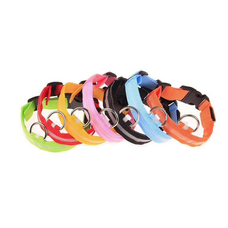 Nylon LED Night Safety Flashing Glow In The Dark Dog Leash Dogs Luminous Fluorescent Pet Dog Collar - Cozy & Co. Market