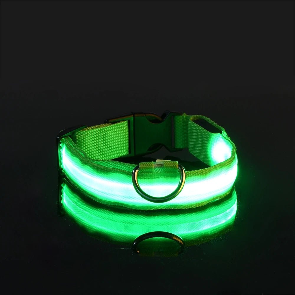 Nylon LED Night Safety Flashing Glow In The Dark Dog Leash Dogs Luminous Fluorescent Pet Dog Collar - Cozy & Co. Market