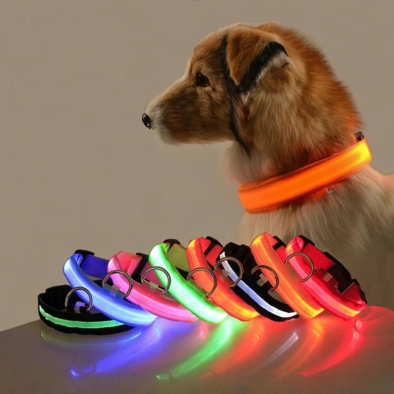 Nylon LED Night Safety Flashing Glow In The Dark Dog Leash Dogs Luminous Fluorescent Pet Dog Collar - Cozy & Co. Market