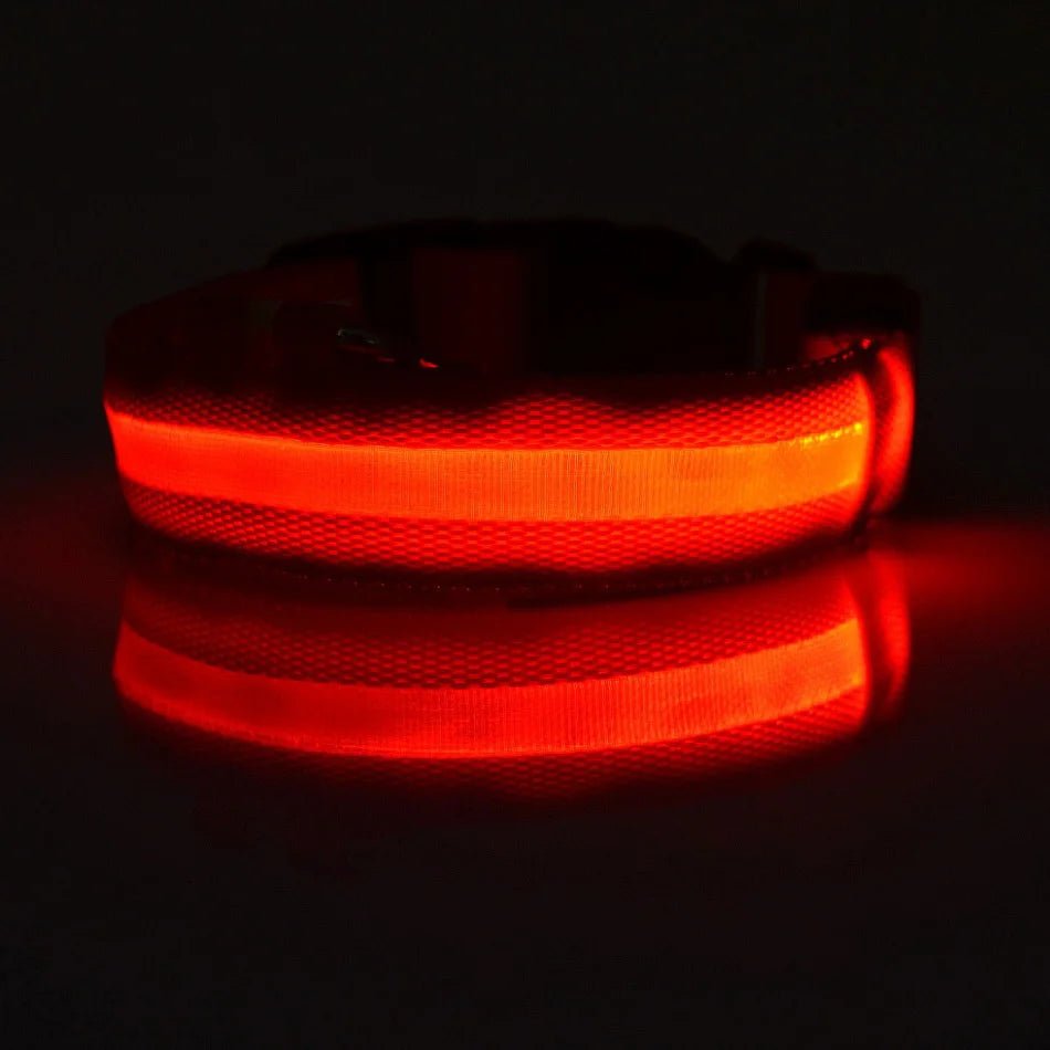 Nylon LED Night Safety Flashing Glow In The Dark Dog Leash Dogs Luminous Fluorescent Pet Dog Collar - Cozy & Co. Market