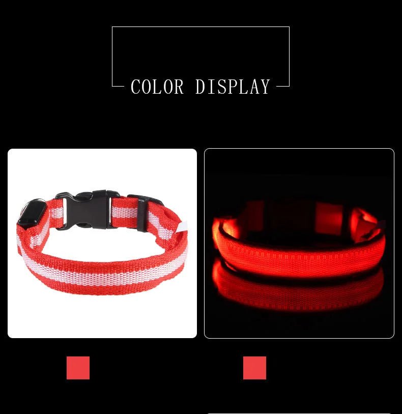 Nylon LED Night Safety Flashing Glow In The Dark Dog Leash Dogs Luminous Fluorescent Pet Dog Collar - Cozy & Co. Market