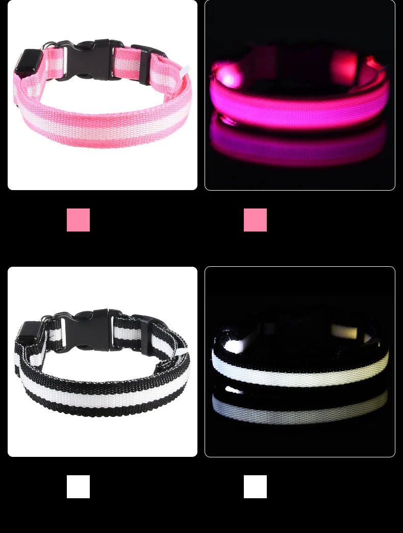 Nylon LED Night Safety Flashing Glow In The Dark Dog Leash Dogs Luminous Fluorescent Pet Dog Collar - Cozy & Co. Market