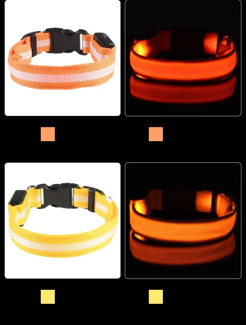 Nylon LED Night Safety Flashing Glow In The Dark Dog Leash Dogs Luminous Fluorescent Pet Dog Collar - Cozy & Co. Market