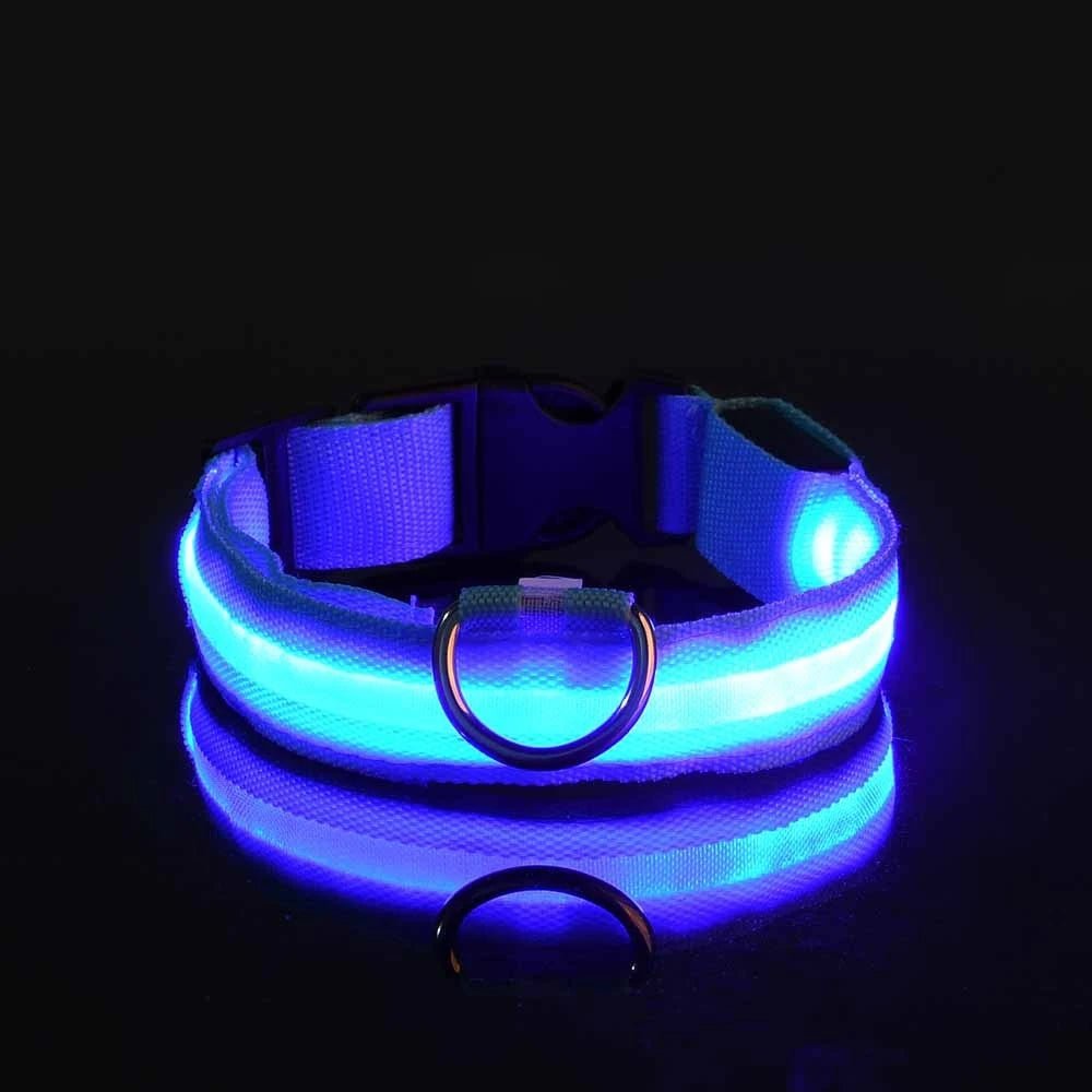 Nylon LED Night Safety Flashing Glow In The Dark Dog Leash Dogs Luminous Fluorescent Pet Dog Collar - Cozy & Co. Market