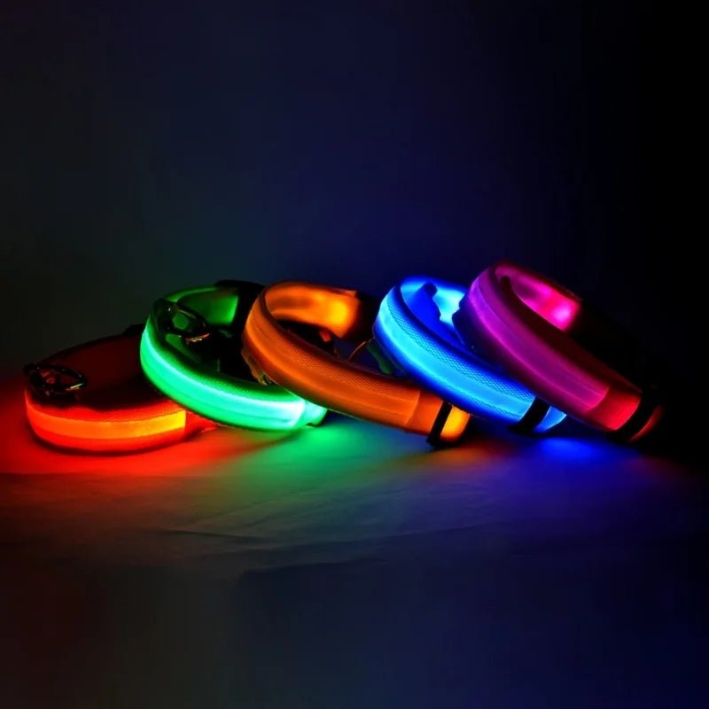 Nylon LED Night Safety Flashing Glow In The Dark Dog Leash Dogs Luminous Fluorescent Pet Dog Collar - Cozy & Co. Market